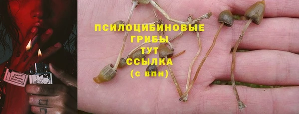 apvp Верея