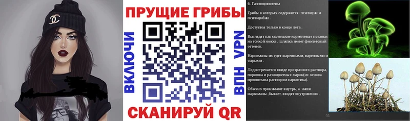 Псилоцибиновые грибы ЛСД  блэк спрут рабочий сайт  Жирновск 